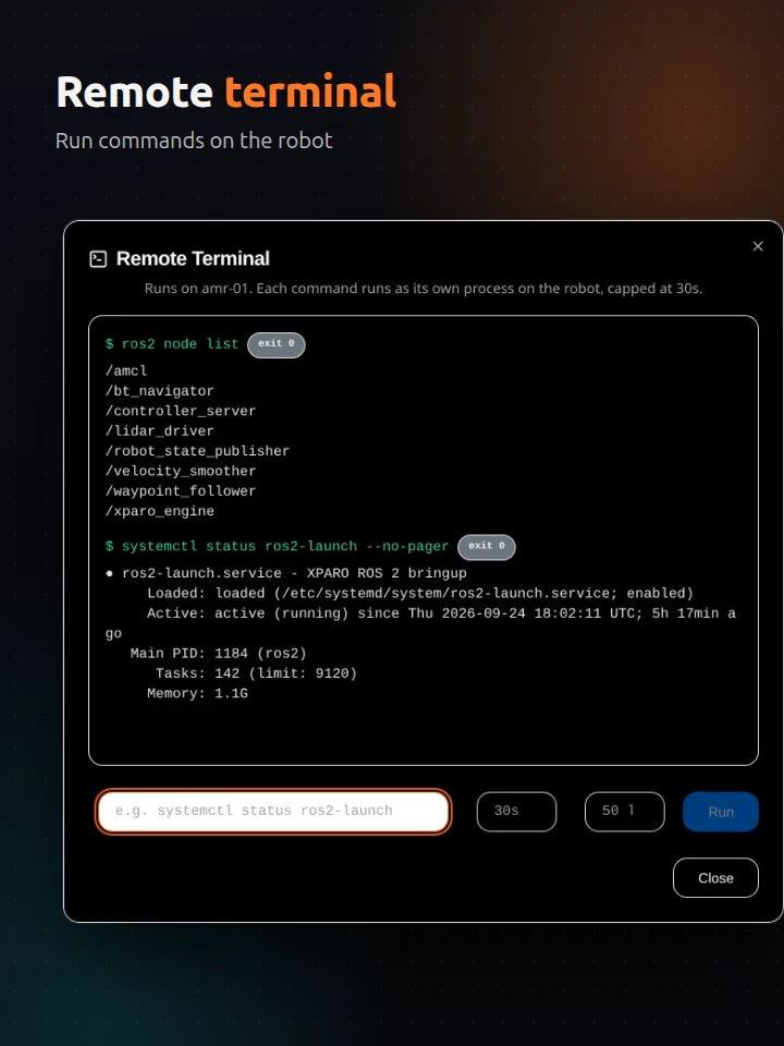 Remote terminal: run commands on the robot